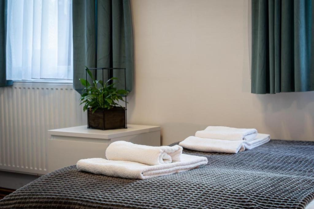 Great Polonia Dwarf Wroclaw Bed & Breakfast Exterior photo